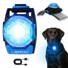 LaRoo lampe-collier chien en action, visibilité nocturne améliorée.
