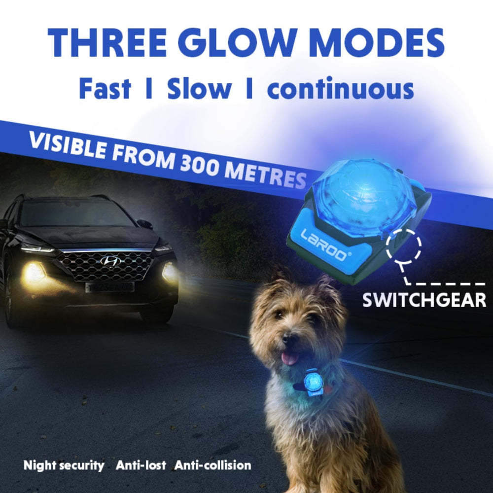 LaRoo lampe collier compacte, poids plume pour le chien.