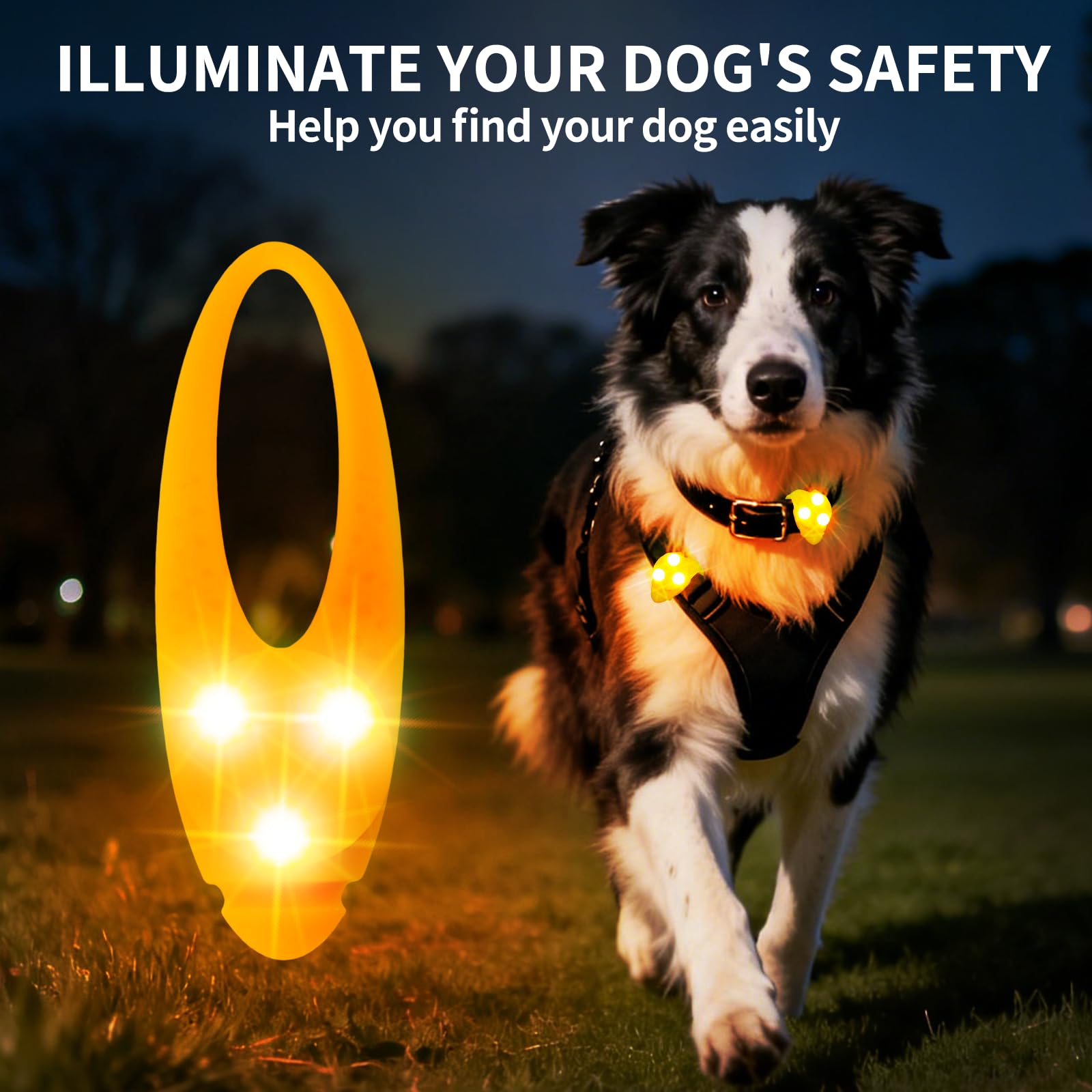 LaRoo lumière verte pour chien, améliore la visibilité dans l’obscurité.