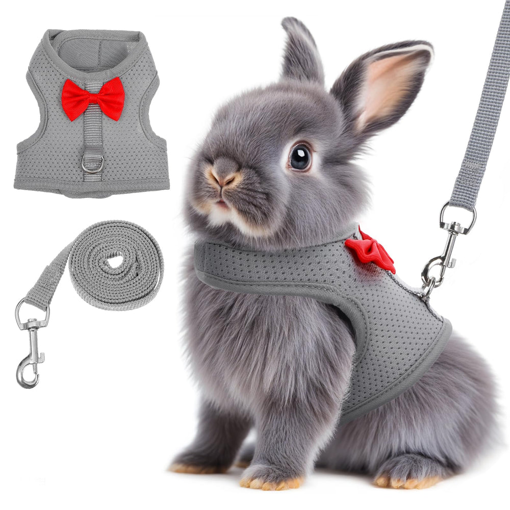 Larrel harnais lapin gris avec longe, parfait pour promenades en sécurité.