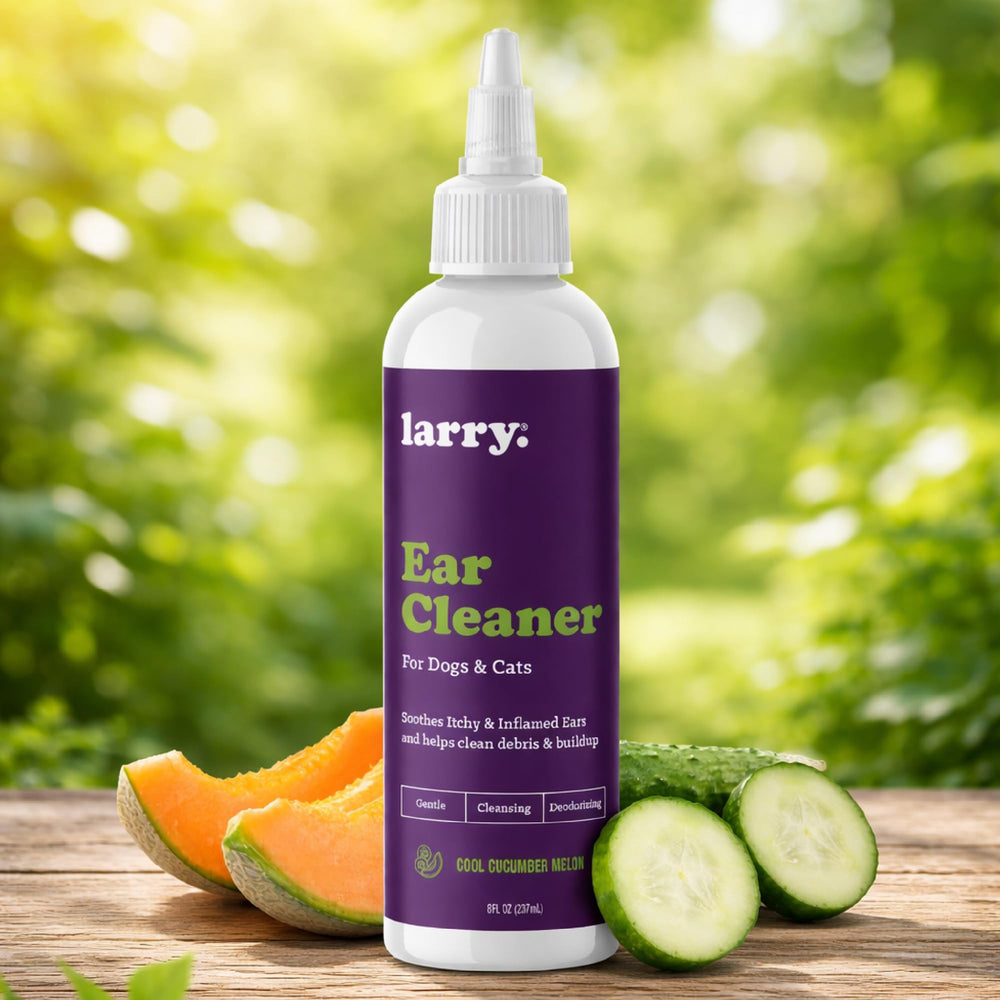 Larry application-oreilles-coton: application précise pour déloger les impuretés visibles.