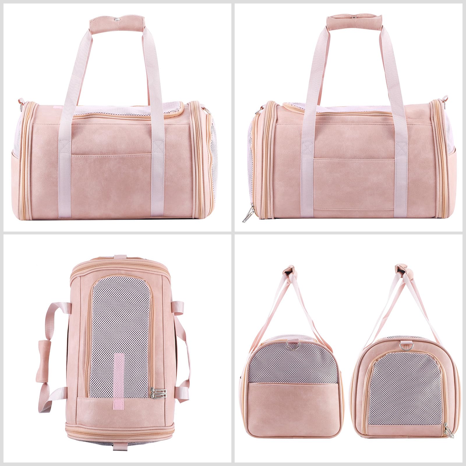 Lasaviin carrier avion rose, conforme aux exigences pour vol.