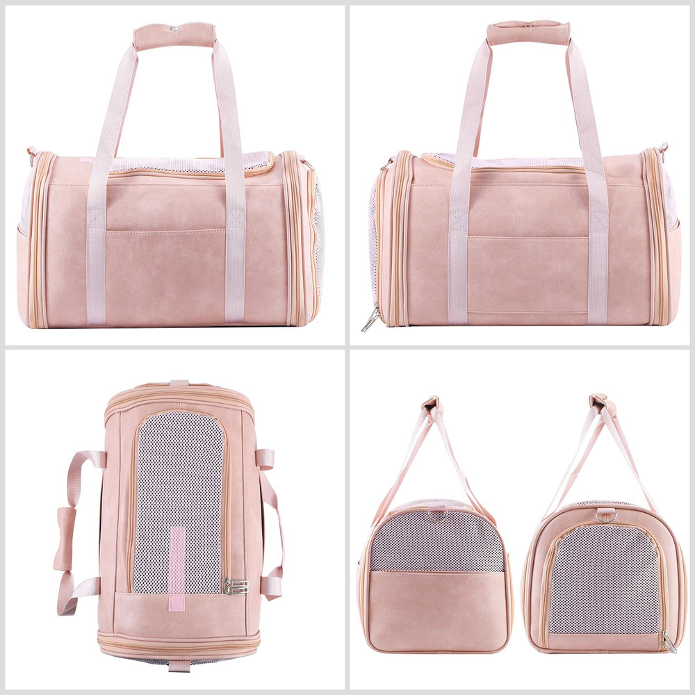 Lasaviin carrier avion rose, conforme aux exigences pour vol.
