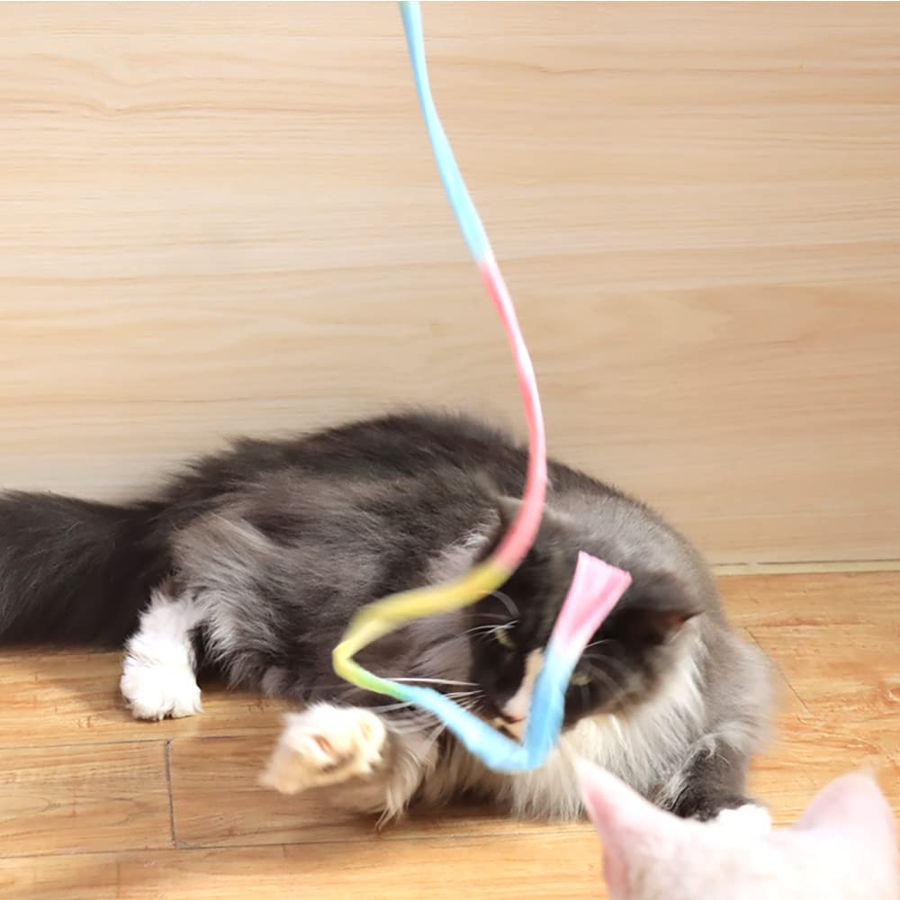 LASOCUHOO cadeau parfait pour amoureux des chats et leurs jeux.