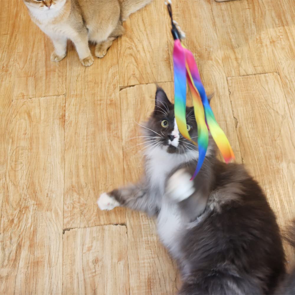 LASOCUHOO recharges-baguette-chat-solide: plus durable pour les sessions de jeu