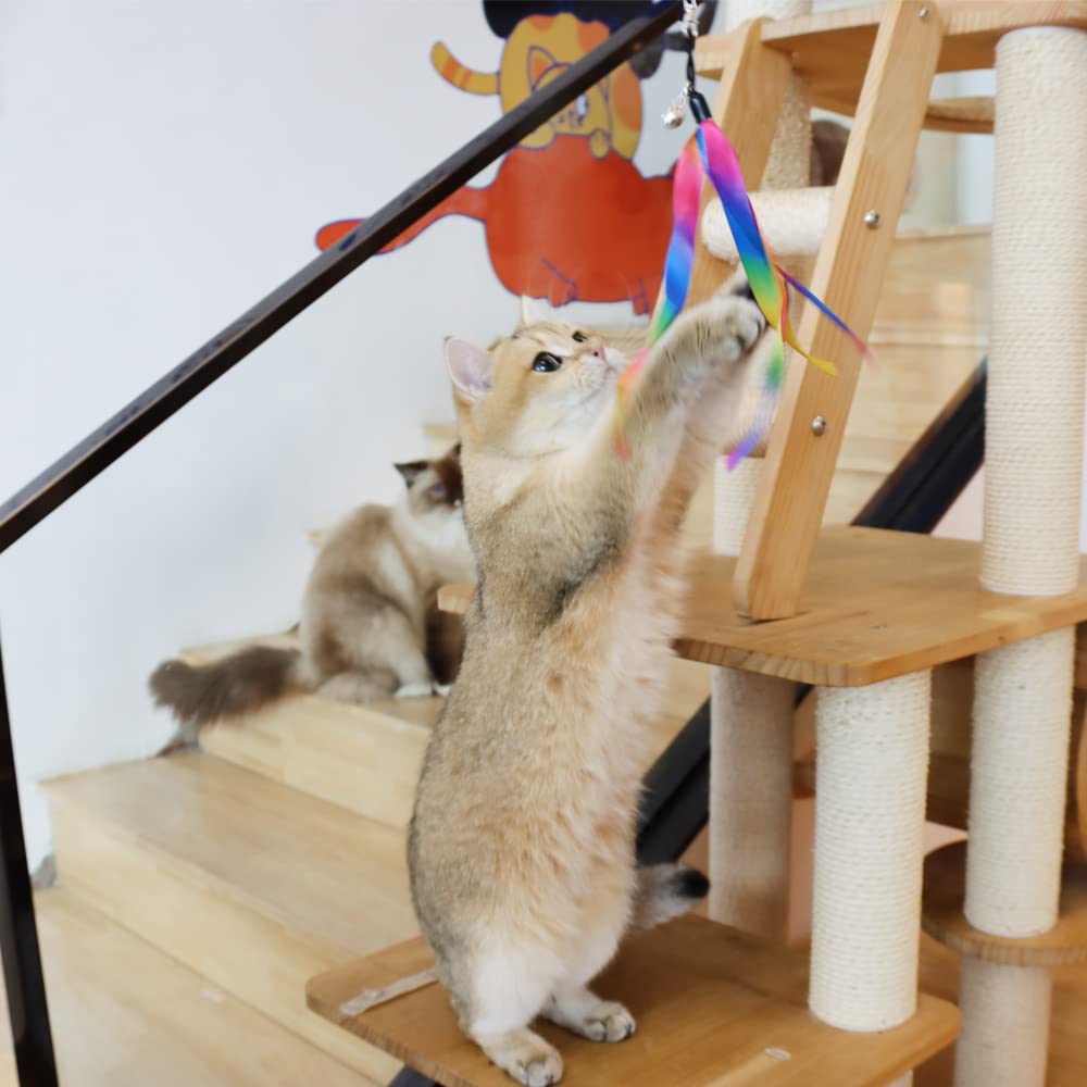 LASOCUHOO matériaux non toxiques: jeu sûr pour chatons et chats