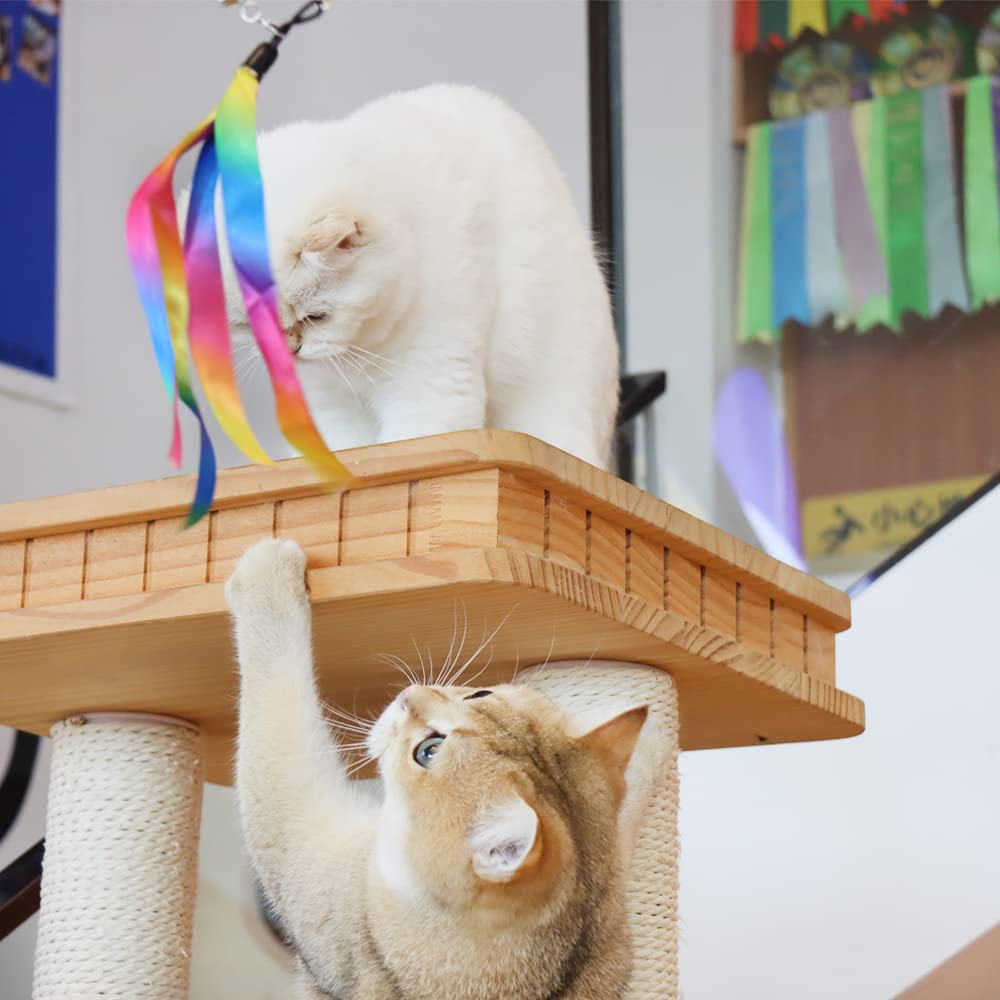 LASOCUHOO vers-chat colorés: les vers attirent et motivent le jeu
