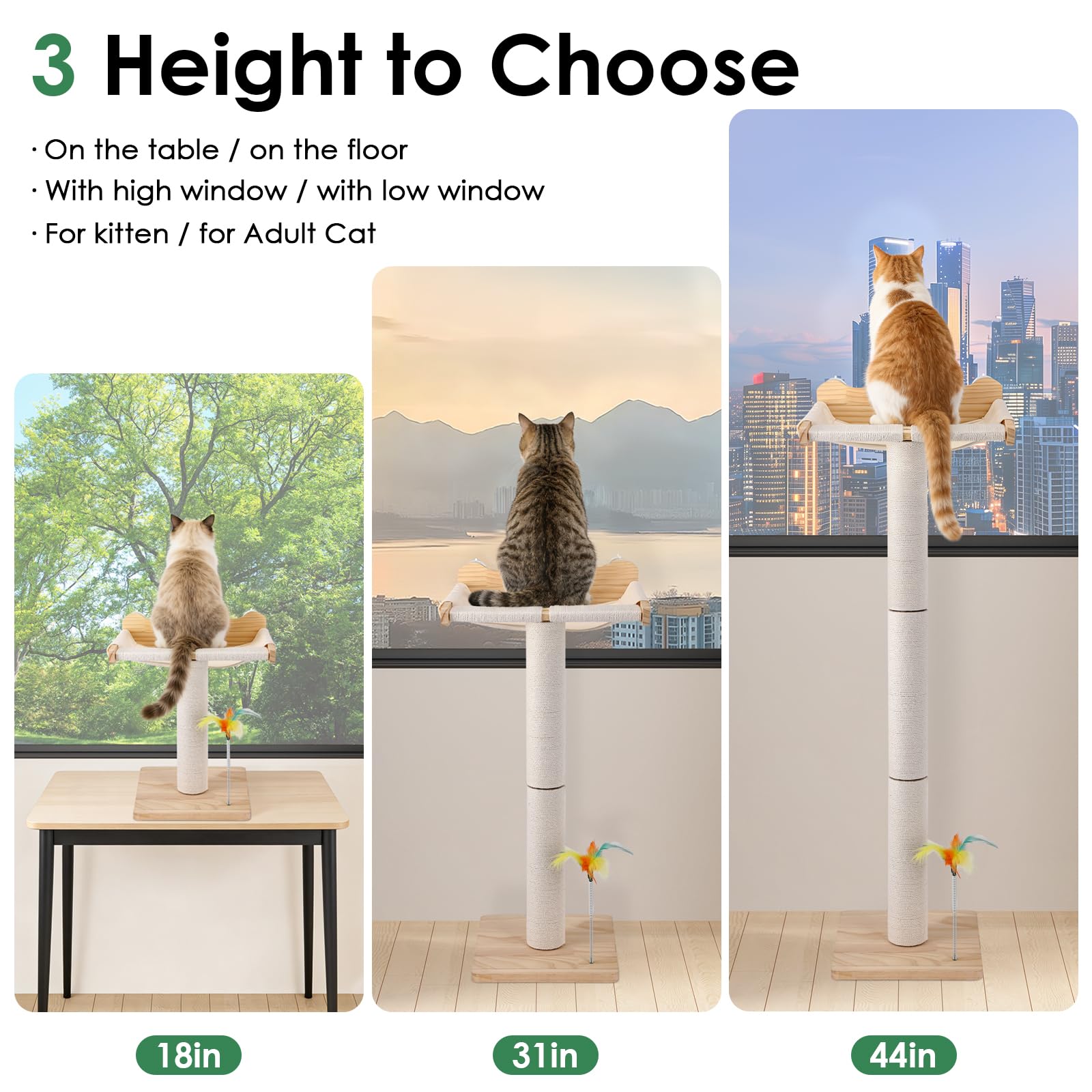 Lassume ventouses triple, fixation stable sur vitre pour sécurité.