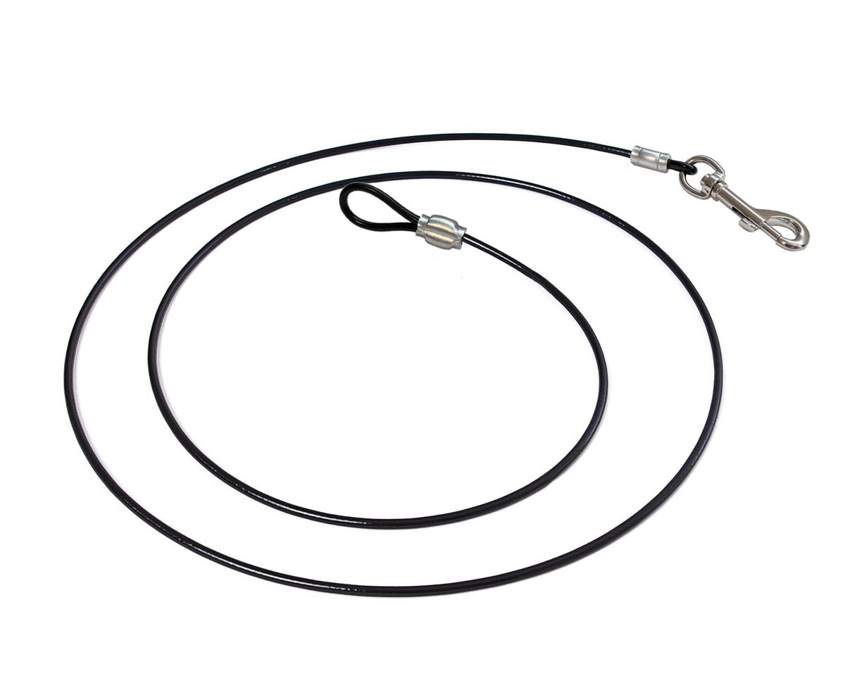 LAST LEASH en utilisation dans le salon pour un dressage positif et sûr.