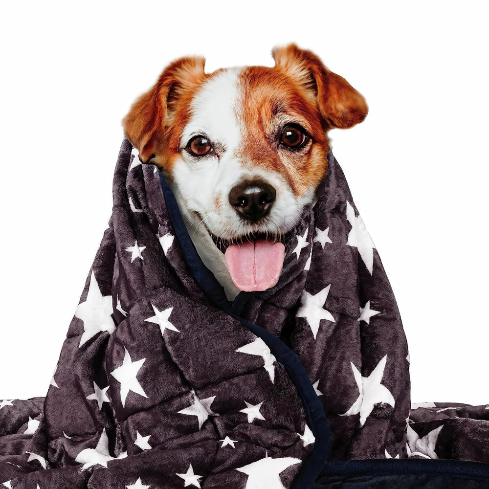 LaSyL couverture-poids pour chien bleu-gris offrant un apaisement enveloppant.
