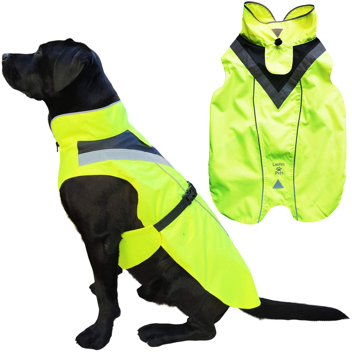Veste imperméable Lautus Pets pour chien jaune, protection pluie en promenade.