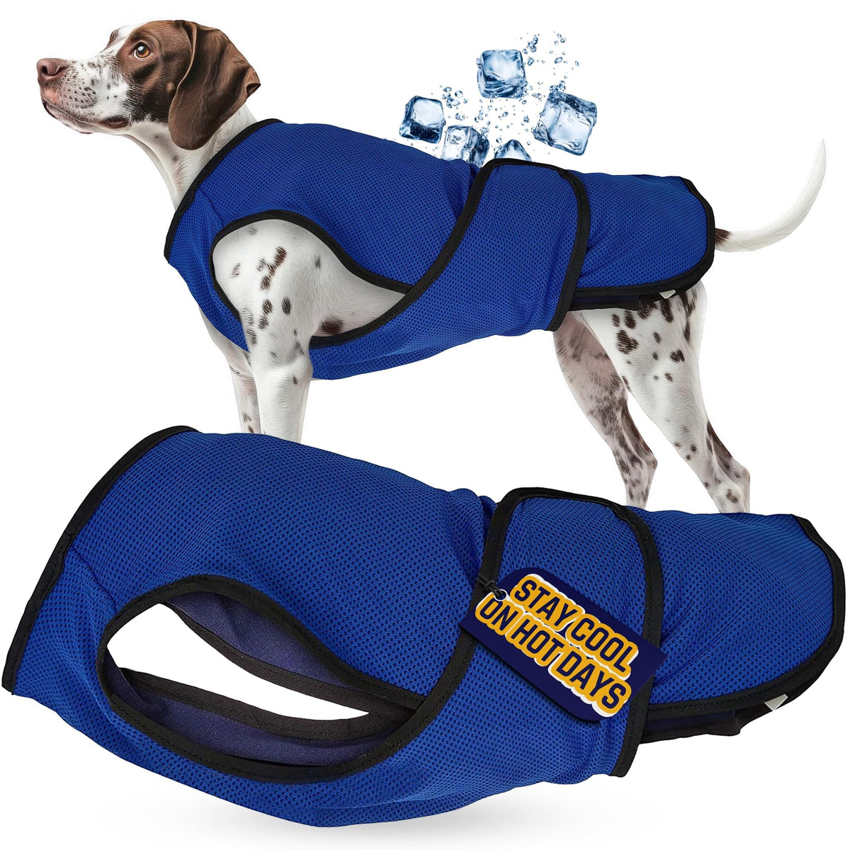 Lautus Pets veste refroidissante chien, zip et velcro pour un ajustement rapide lors des promenades.