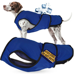 Lautus Pets veste refroidissante chien, zip et velcro pour un ajustement rapide lors des promenades.