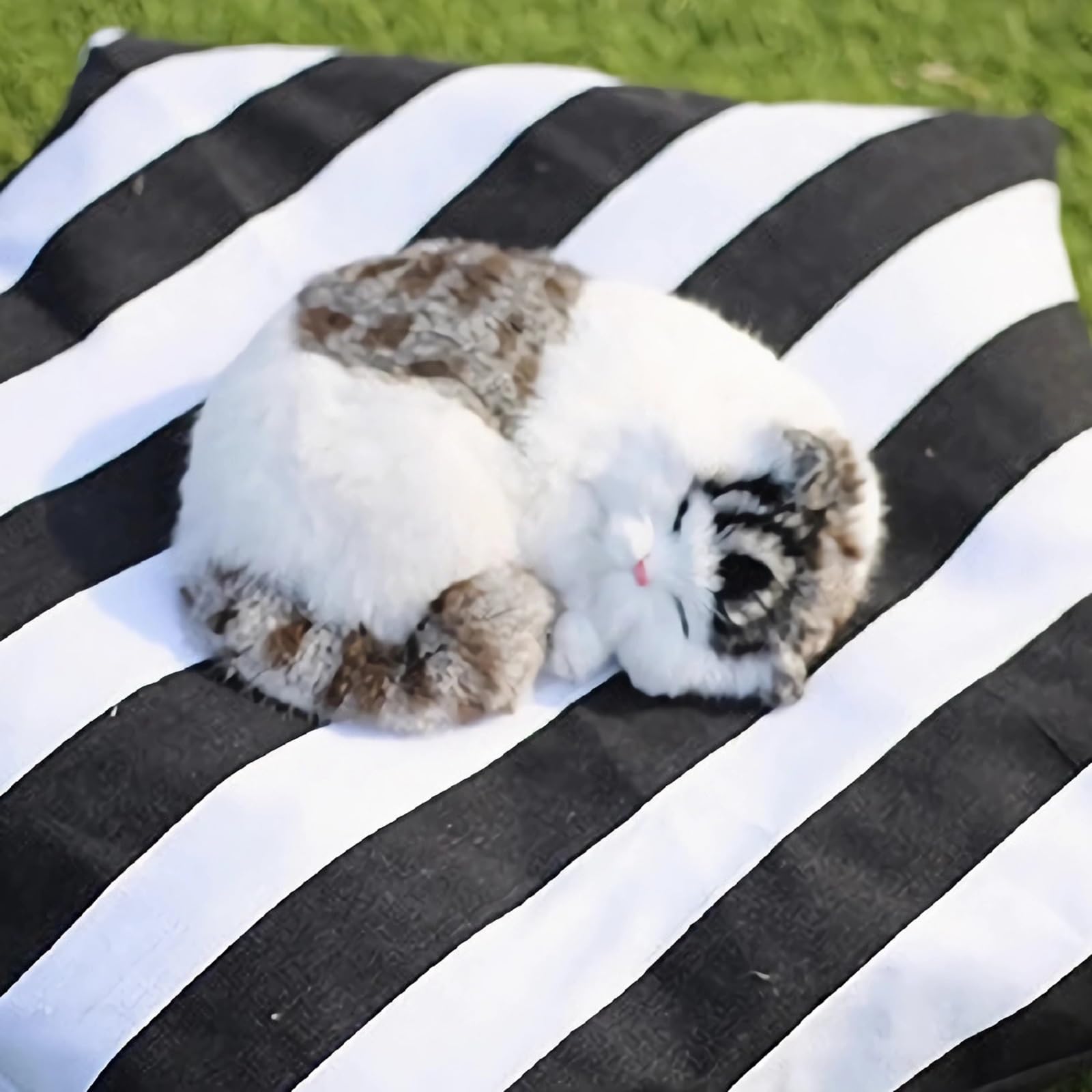 Éléments lavables et nettoyage facile du lit pour animal.