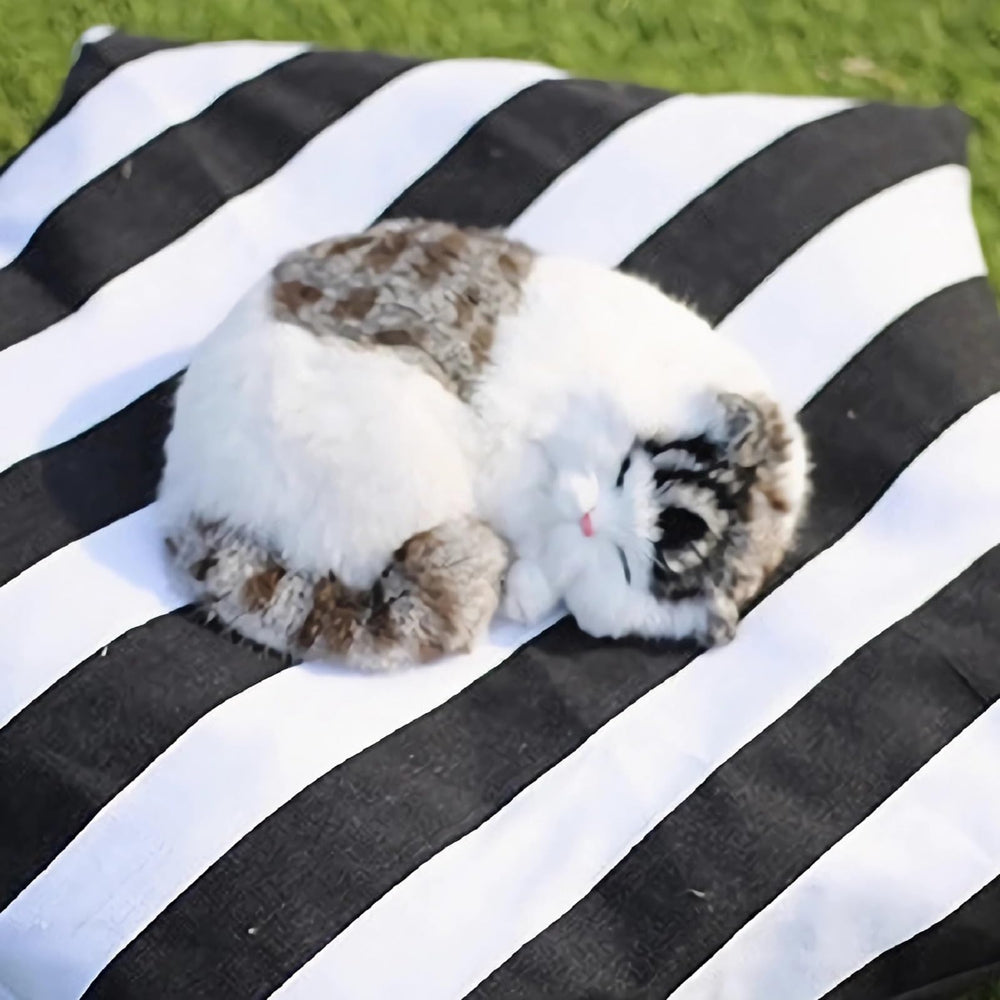 Éléments lavables et nettoyage facile du lit pour animal.