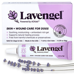 Lavengel – bouteille pour chien, apaisement des irritations cutanées.