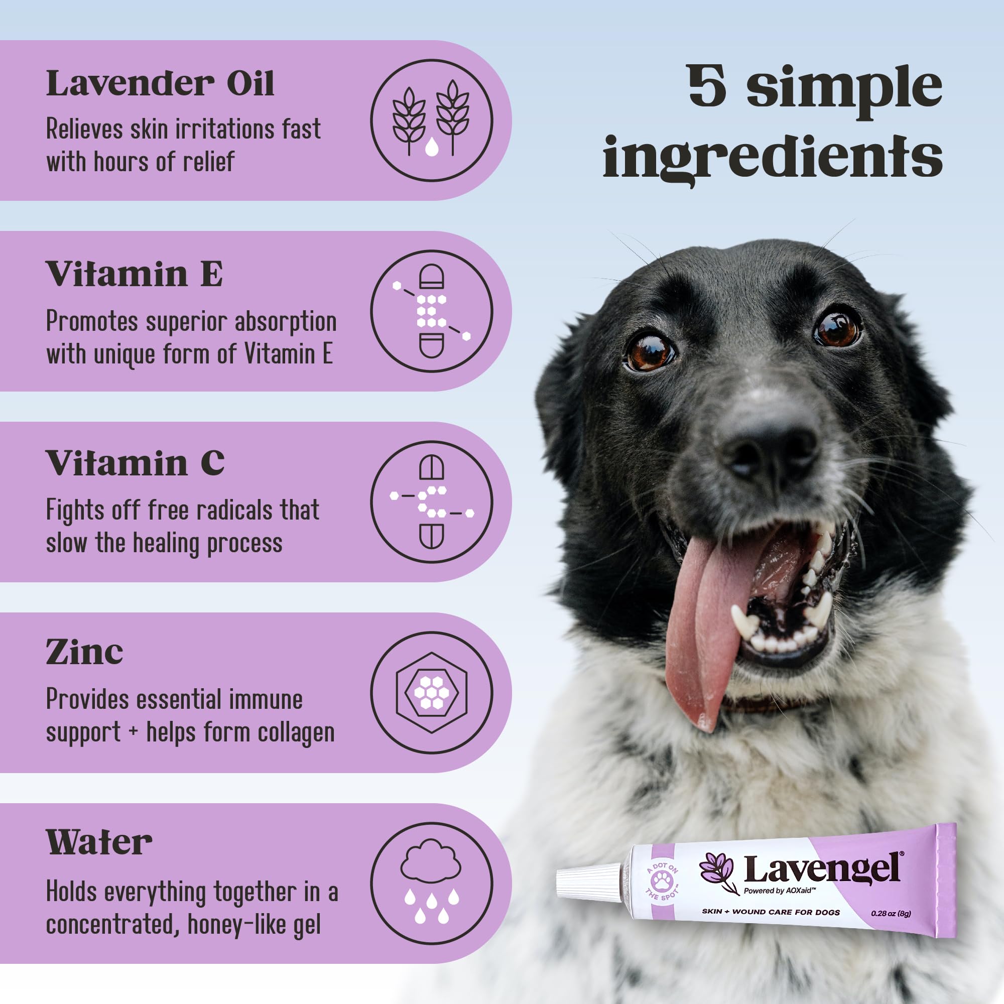 Lavengel – dermatite ou réaction allergique chez le chien, soutien optionnel.