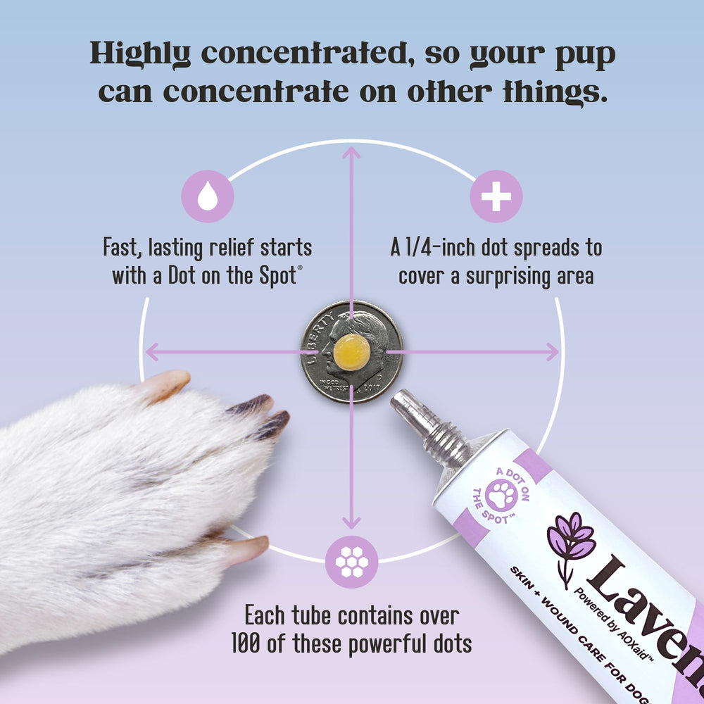 Lavengel – ingrédients naturels pour peau canine, soin sûr.