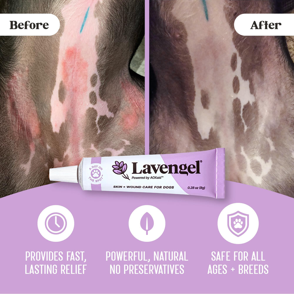 Lavengel – plaie mineure chez le chien, soin ciblé.