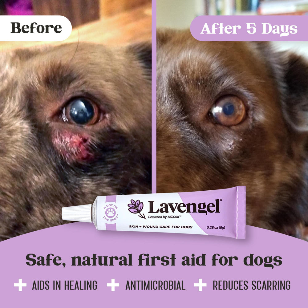 Lavengel – texture non grasse qui s absorbe rapidement sur la peau.