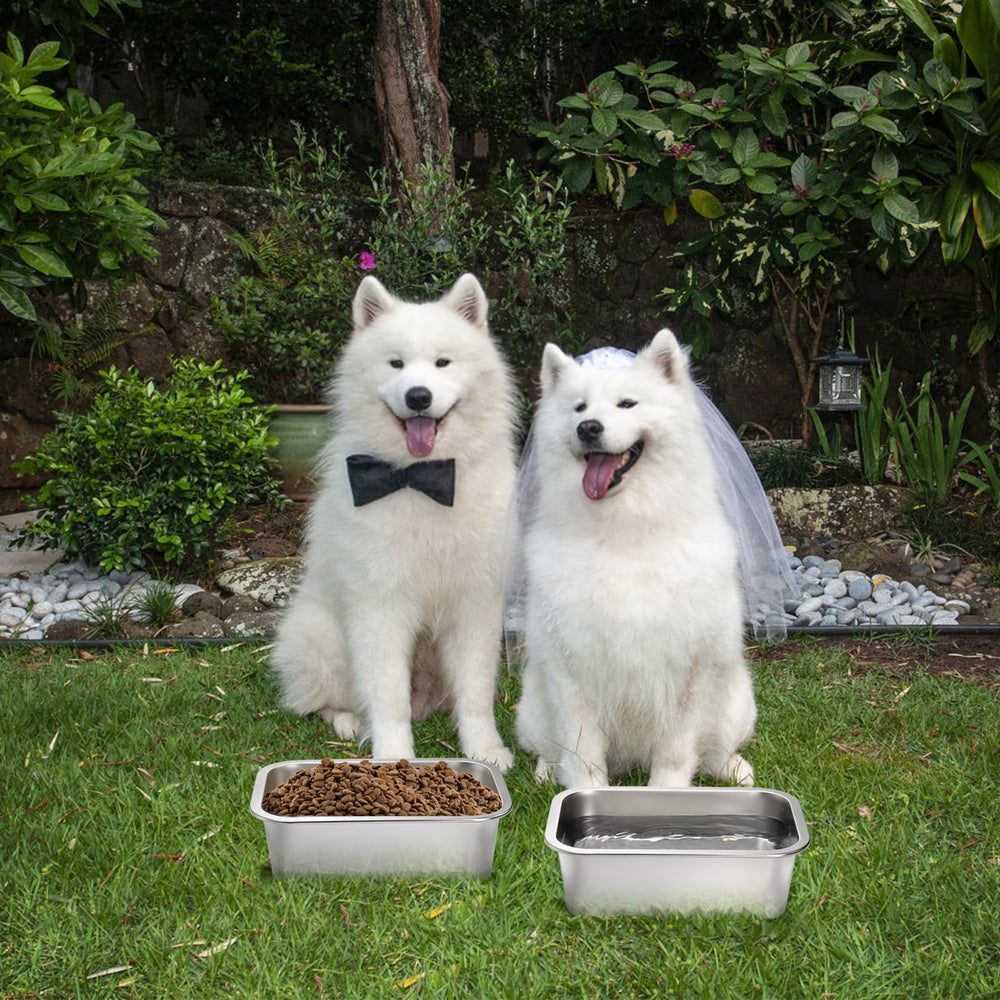 Utilisation intérieur et extérieur pour repas quotidiens des chiens.