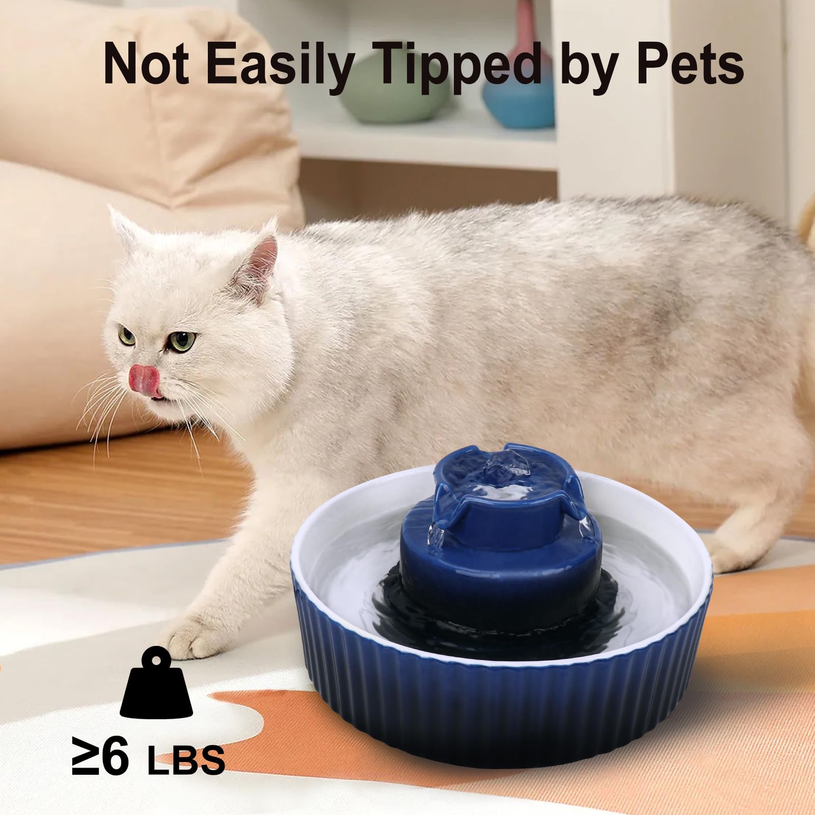Idéale pour chats et chiens Lawfery Cupcake design bleu foncé