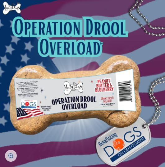 The Lazy Dog Cookie Co. lot-15-os-mega — coffret idéal pour récompenser lors de l’entraînement.