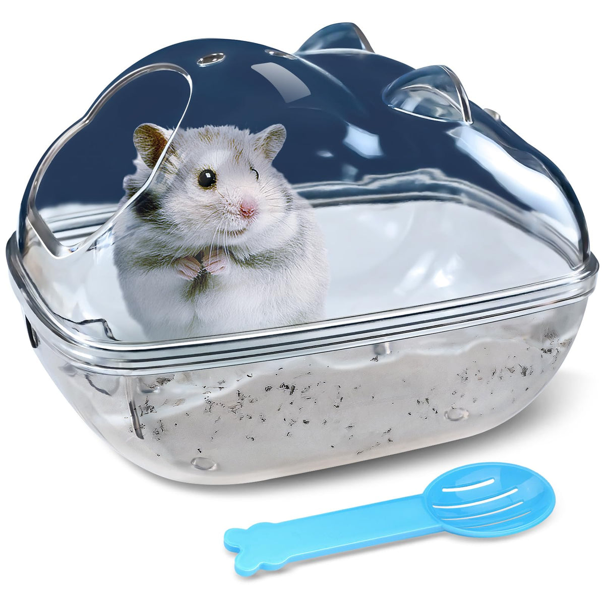 lazyyzal hamster-baignoire-panorama-360: vue claire pour observer le bain et le jeu