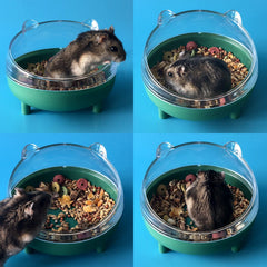 Hamster-nain dans une baignoire LazYYzal au style chat élégant.