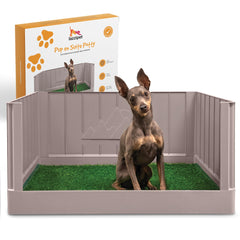 LAZZIPET Toilette pour chiot avec base et murs, installation rapide et fiable