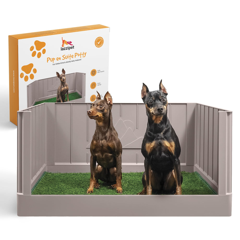 LAZZIPET Toilette pour chiot: convient petits et moyens chiens
