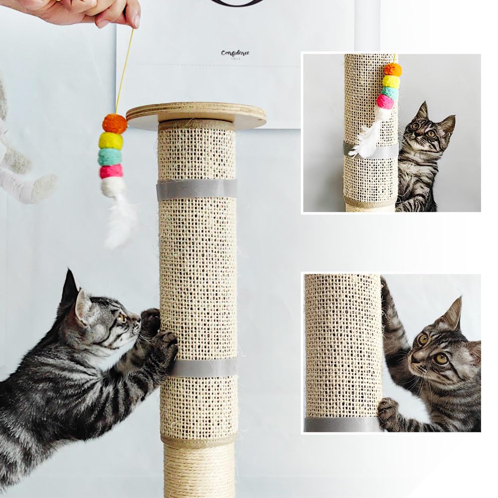 Protection des meubles et des tours d’arbres à chat grâce au grattoir