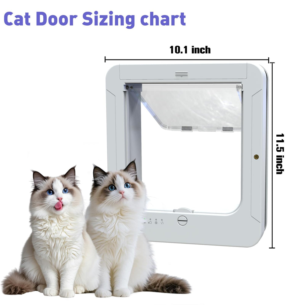 Installation facile de la porte chat Lcsiuco en moins de 30 minutes.