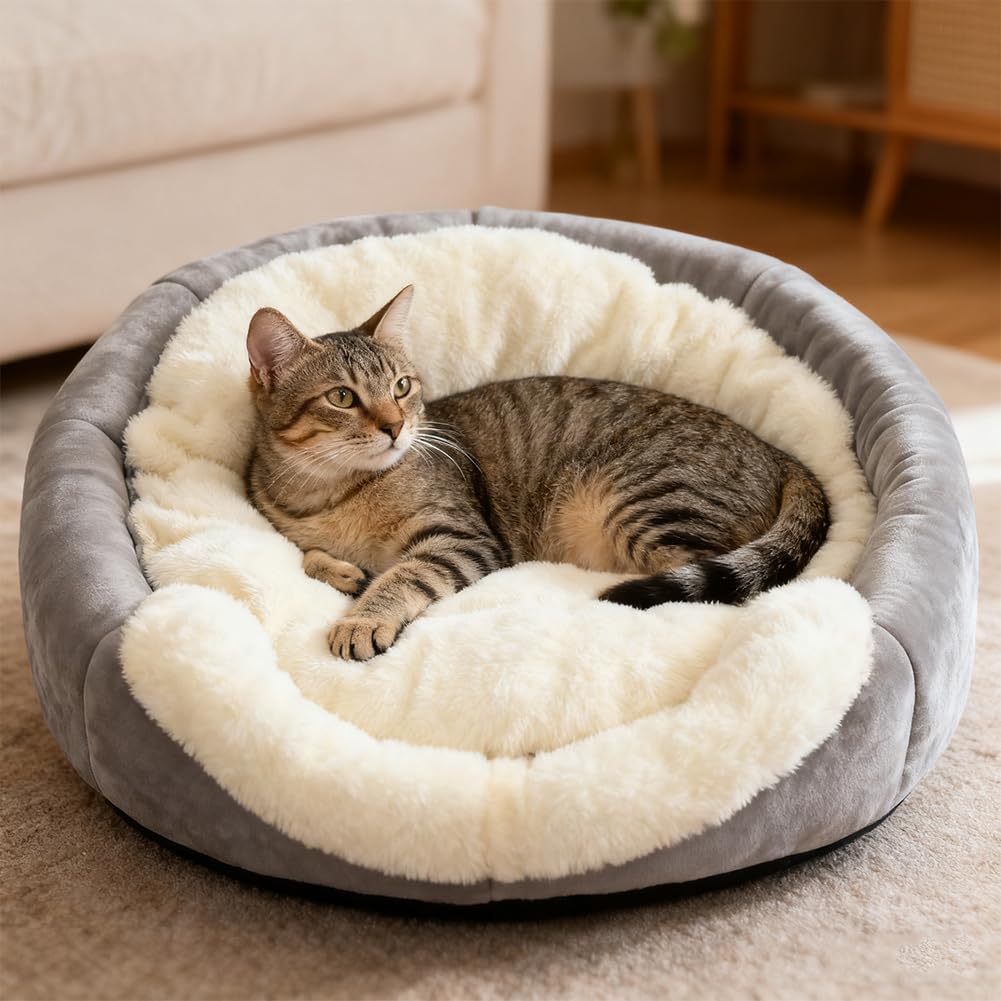 Idéal petits chiens et chats Lcybem: refuge polyvalent.