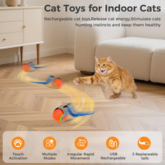 LDZ&CHX balle interactive chat, matériaux durables et non toxiques pour sécurité.