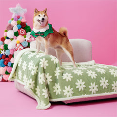 Le SURE couverture chien nuage 3D, protection canapé et chaleur douce pour chien.