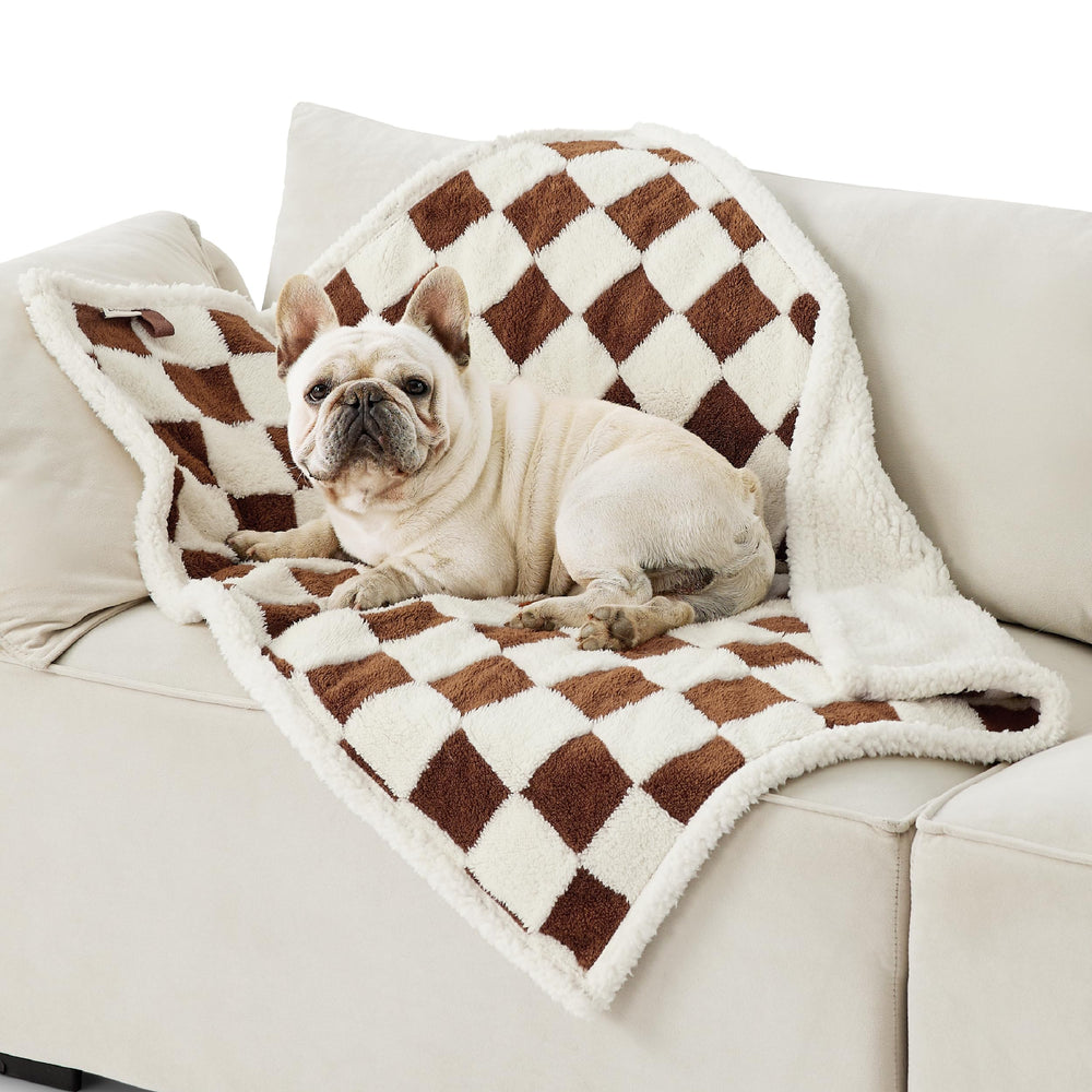 LE SURE couverture imperméable pour chien moyen protège canapé et meubles.