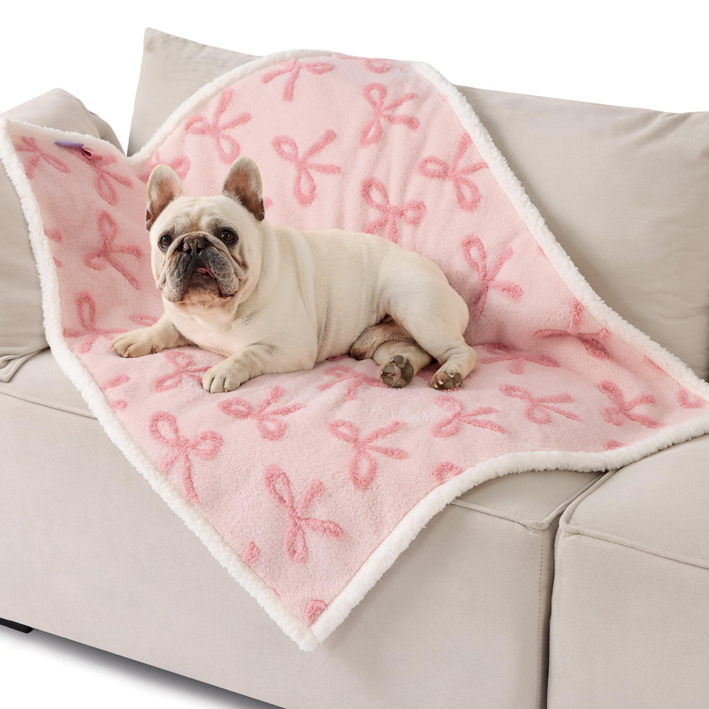 LE SURE motif nuage 3D face avant – douceur cocooning pour chien et chat