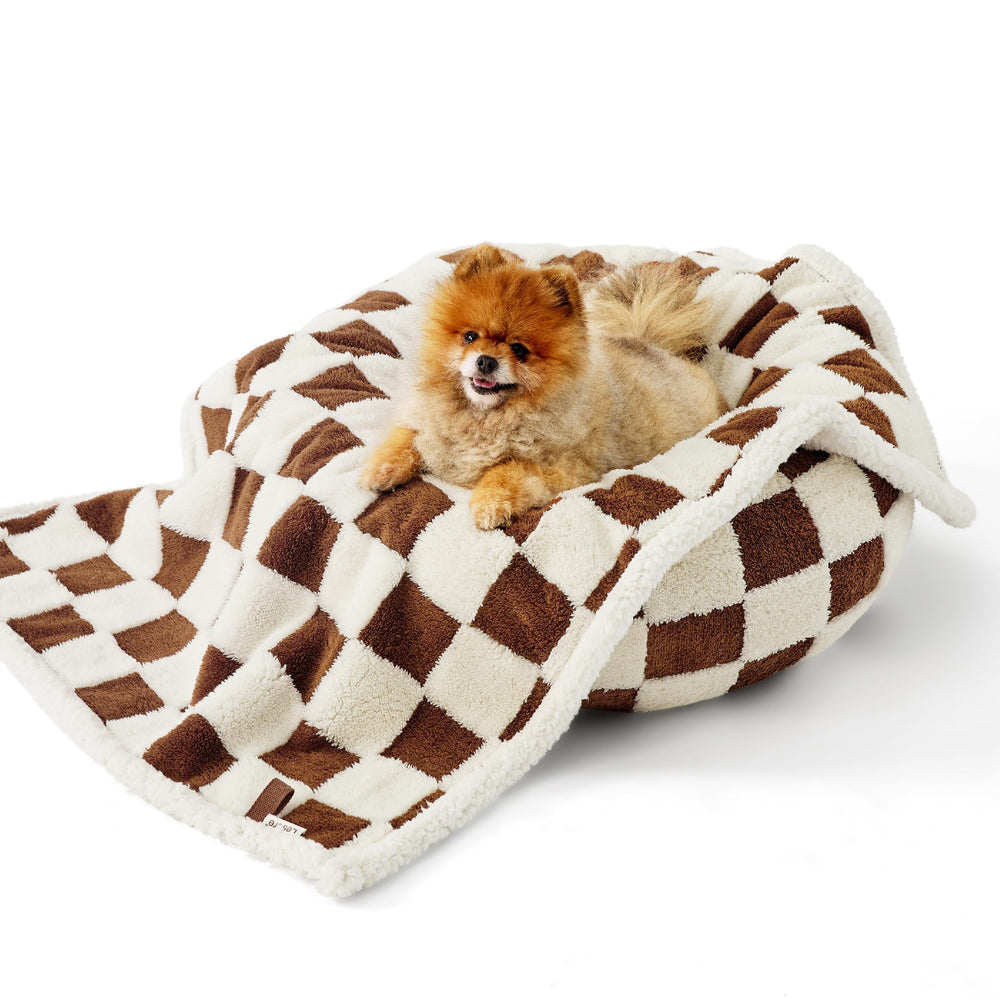 LE SURE taille adaptée petits chiens et chats.