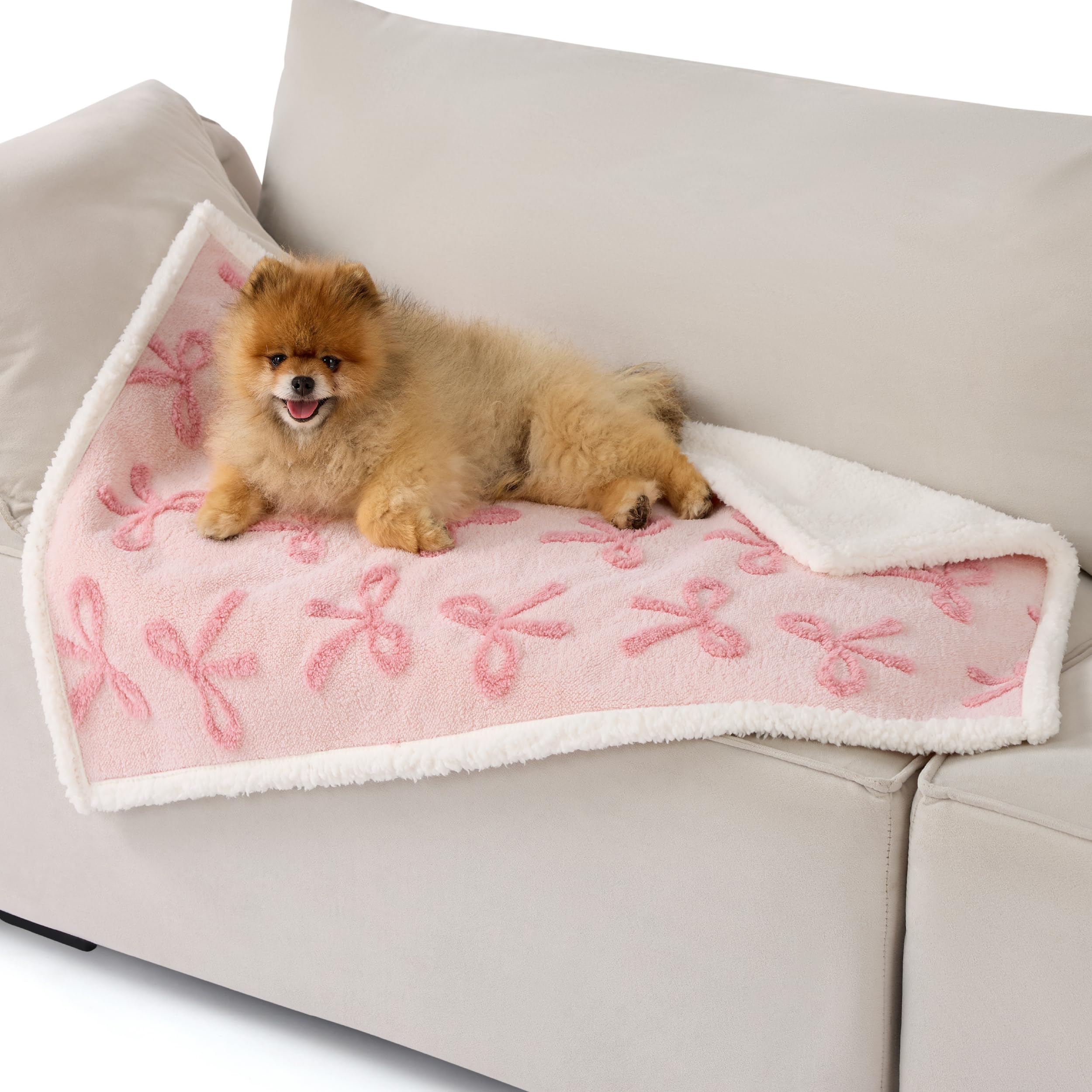 Design noeud rose sur le dessus, chic et charmant.