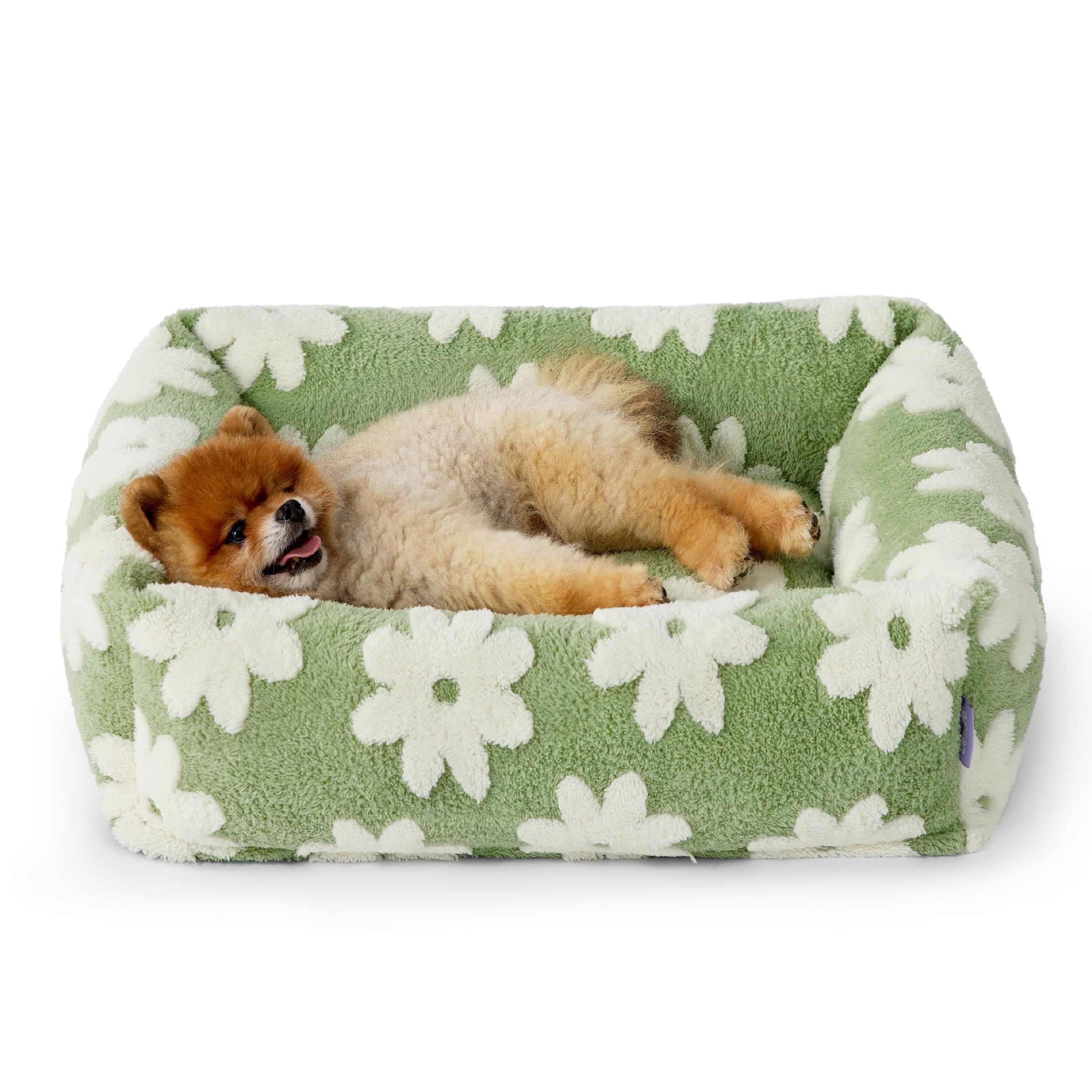 LE SURE lit petit chien ensemble: confort et style pour le salon