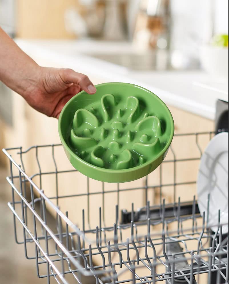 Idéal pour repas quotidiens et routines calmes.