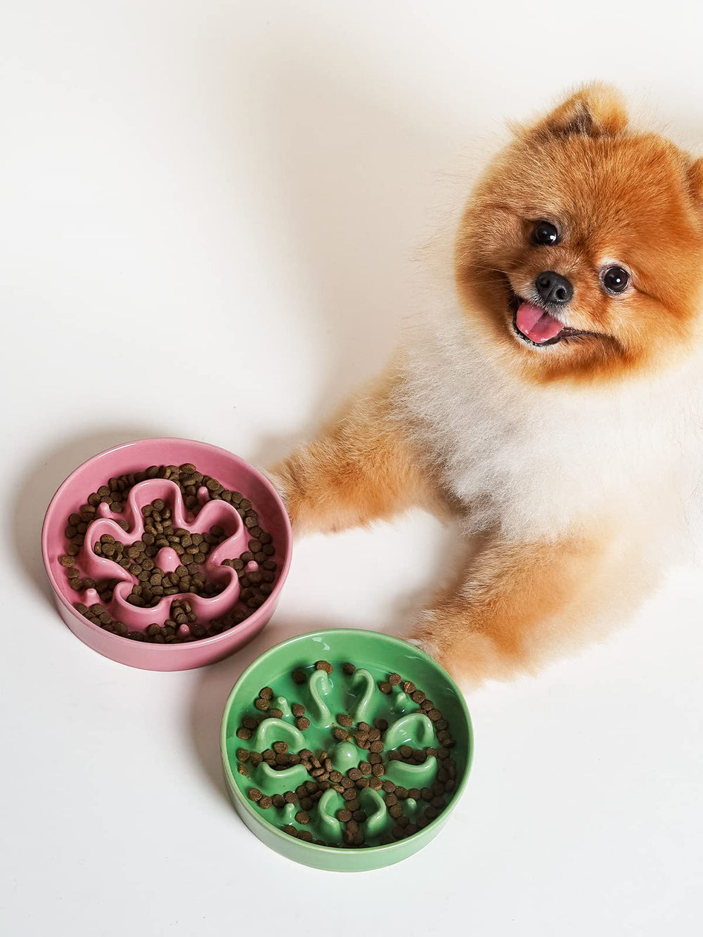 Utilisation adapte pour petits chiens et chats, bol LE TAUCI polyvalent.