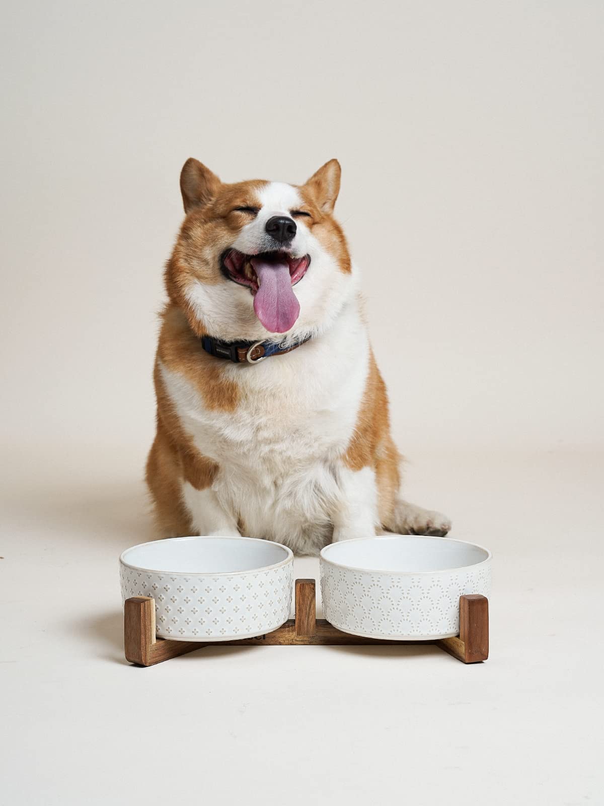 Base surélevée et design élégant pour chiens.