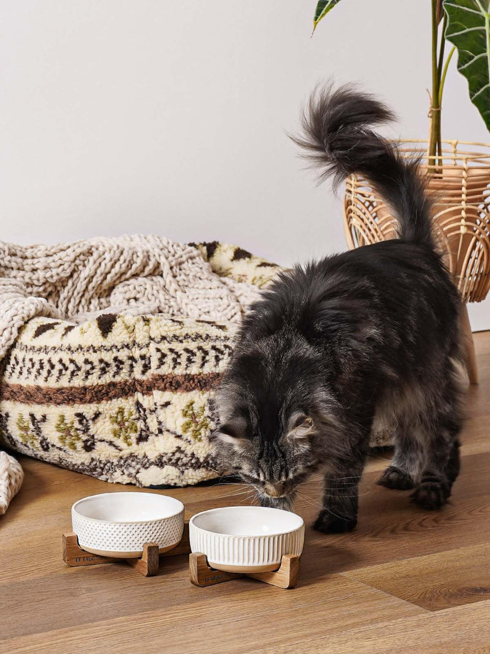Ensemble de deux bols céramique LE TAUCI PET, pratique pour repas.