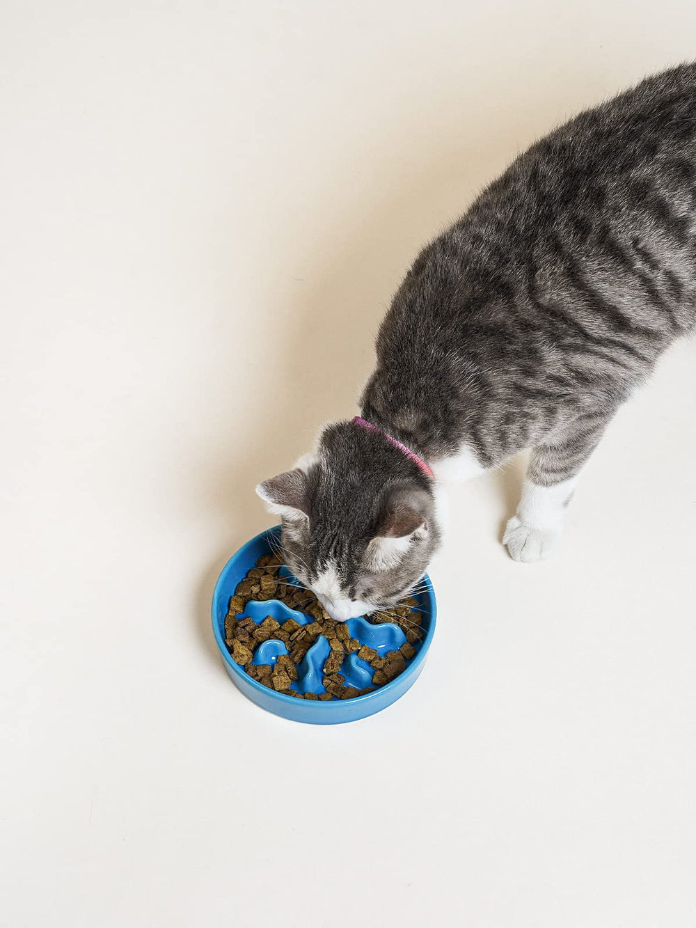 LE TAUCI PET bol céramique lent pour petites races, pratique et hygiénique