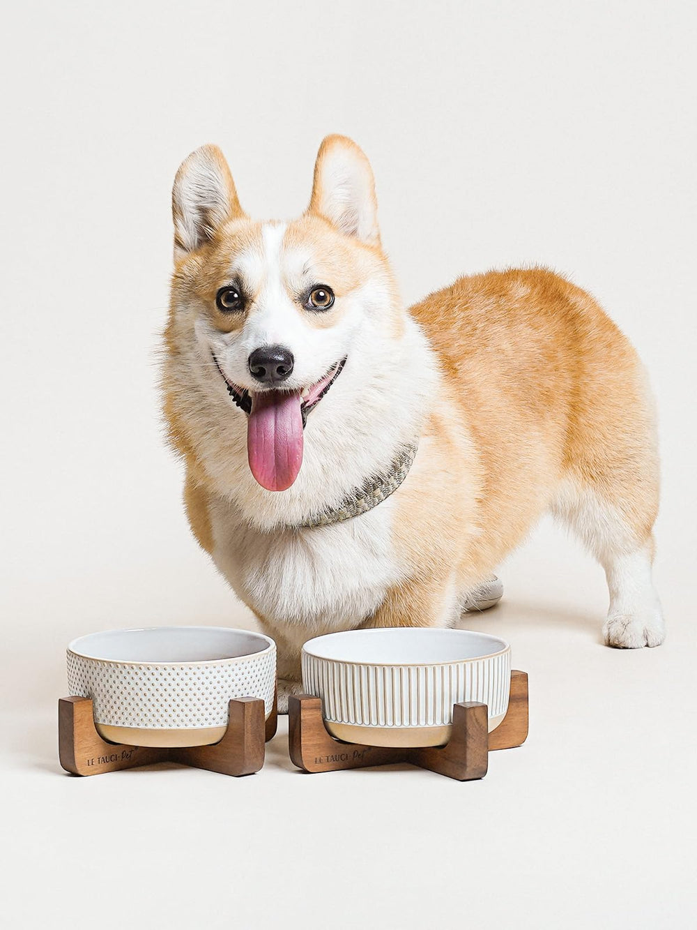 Bol quotidien pour chien ou chat moyen, usage facile et agréable.