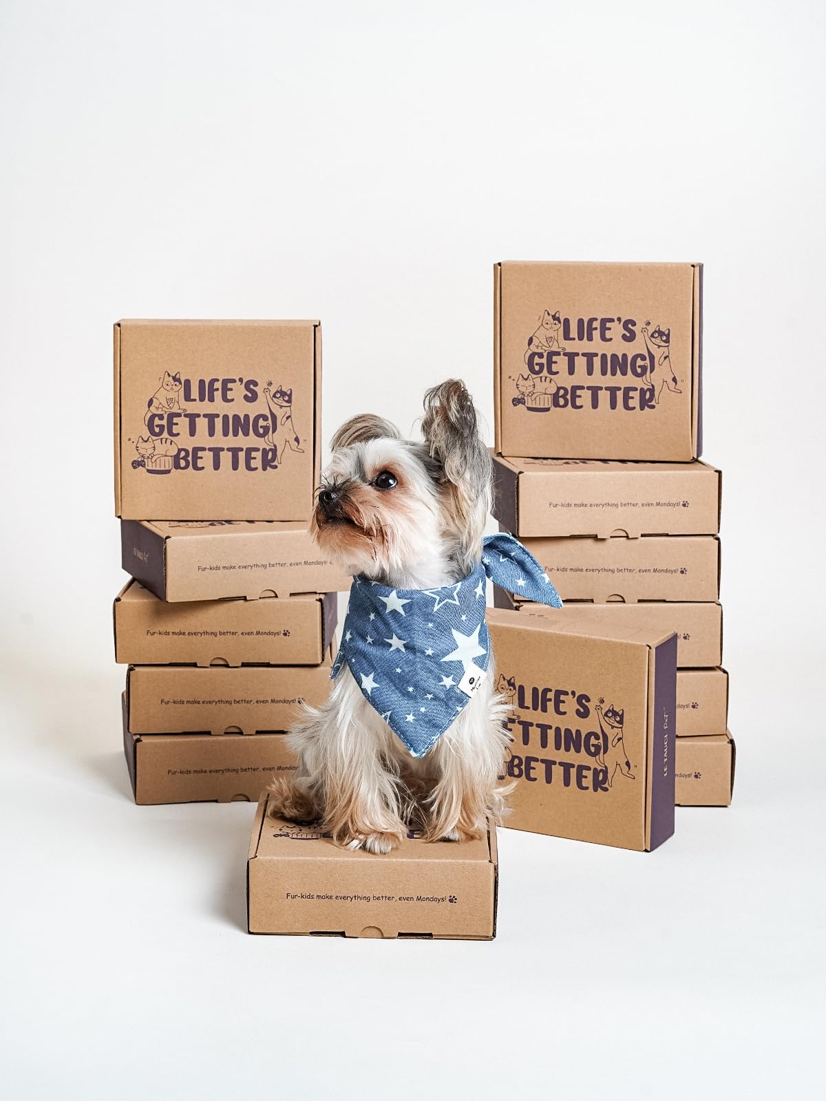 LE TAUCI PET bol puzzle 5,5 pouces stimule l’activité mentale des animaux