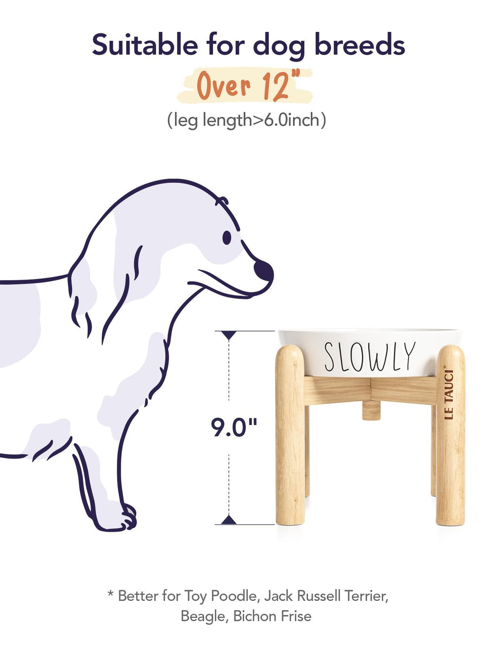 Le Tauci Pet bol elevé – confort pour le cou et le dos de votre chien