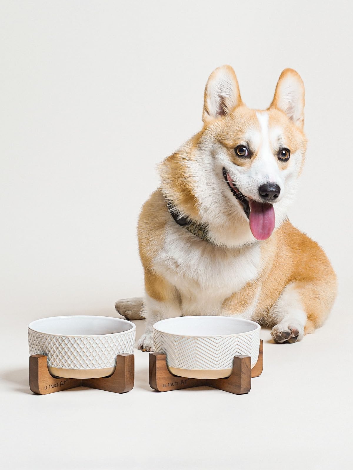 LE TAUCI PET dimensions bol chien diamètre 6,4 po hauteur 2,7 po.